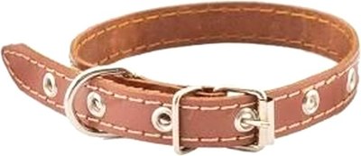 Ошейник Homepet 20мм 32-42см / 77807 (коричневый) - 