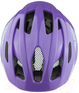 Защитный шлем Alpina Sports Pico / A9761-56 (р-р 50-55, пурпурный глянец)