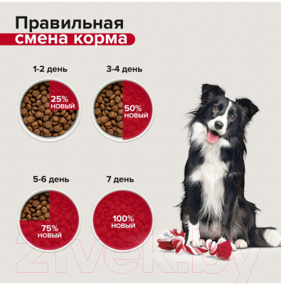 Сухой корм для собак Mera Essential Energy с курицей / 60950 (12.5кг)