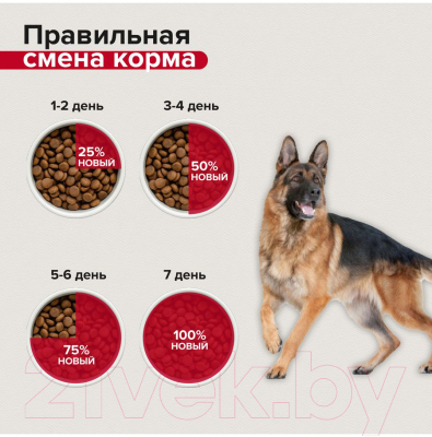 Сухой корм для собак Mera Essential Senior для пожилых / 61150 (12.5кг)