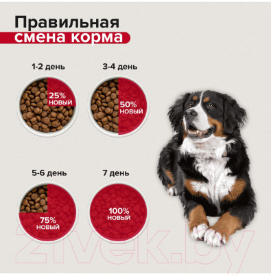Полувлажный корм для собак Mera Soft Brocken Premium / 61250 (12.5кг)