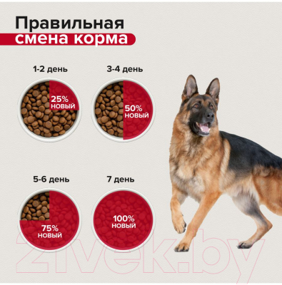 Сухой корм для собак Mera Essential Active / 61550 (12.5кг)