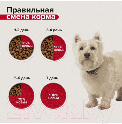 Сухой корм для собак Mera Pure Sensitive Mini Adult для малых пород ягненок и рис / 57534 (4кг)