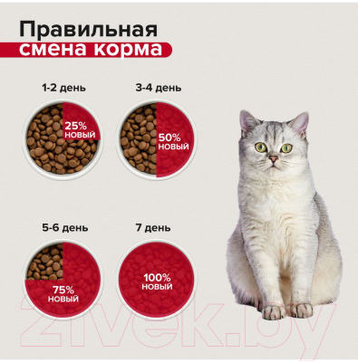 Сухой корм для кошек Mera Exclusive Classic Cat для всех возрастов / 75045 (10кг)