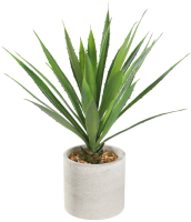 Искусственное растение Eglo Tobetsu 428016 (пластик, коричневый/зеленый) - 