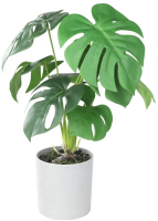 Искусственное растение Eglo Tobetsu 428017 (пластик, серый) - 
