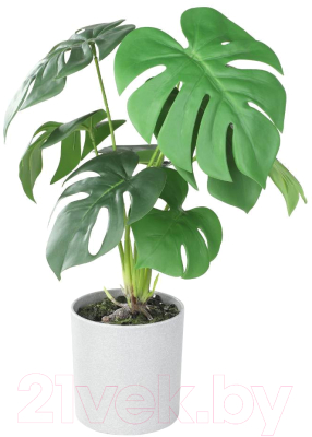 Искусственное растение Eglo Tobetsu 428017 (пластик, серый)