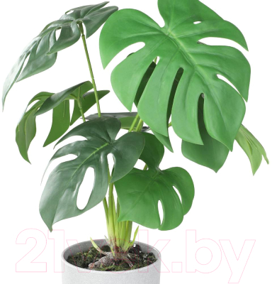 Искусственное растение Eglo Tobetsu 428017 (пластик, серый)