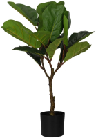Искусственное растение Eglo Tobetsu 428021 (пластик, зеленый/черный) - 