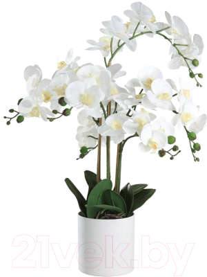 Искусственное растение Eglo Hyuga 428024 (пластик, белый)