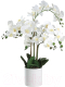 Искусственное растение Eglo Hyuga 428024 (пластик, белый) - 