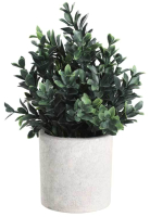 Искусственное растение Eglo Chitose 428028 (пластик, коричневый/зеленый) - 
