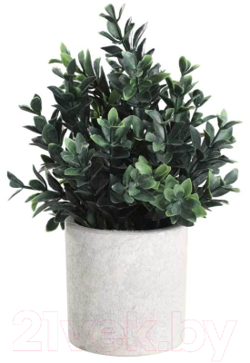 Искусственное растение Eglo Chitose 428028 (пластик, коричневый/зеленый)