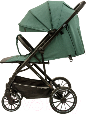 Детская прогулочная коляска INDIGO Delta (зеленый/серый)