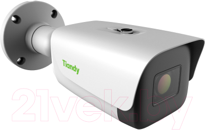 IP-камера Tiandy TC-C35TS I8/A/E/Y/M/H/2.7-13.5mm/V4.1