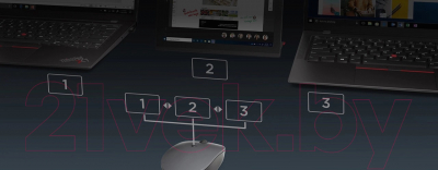 Изображение товара Мышь Lenovo Go Multi-Device / GY51C21211