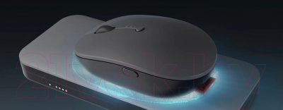 Изображение товара Мышь Lenovo Go Multi-Device / GY51C21211