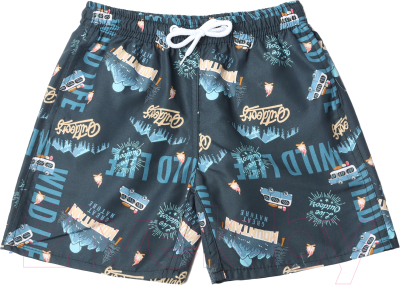 Изображение товара Плавки детские Kaftan Горы / 9843402 (р.146-152)