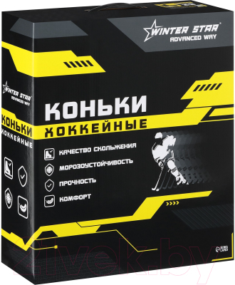 Коньки хоккейные Winter Star Advanced Way / 9667140 (р.43)