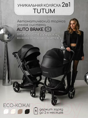 Детская универсальная коляска Amarobaby Tutum 2 в 1 / AB22-10TUTUM1/09 (черный)