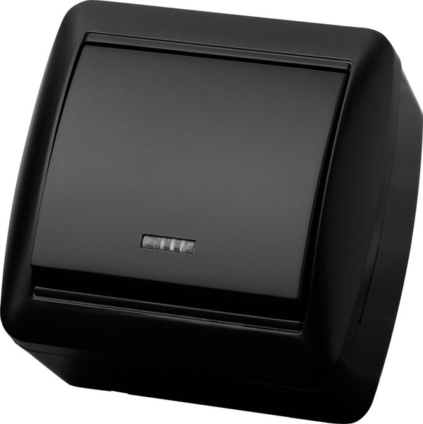 Выключатель TDM Селигер / SQ1818-0303 (графит)