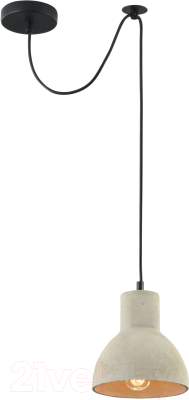 Потолочный светильник Maytoni Broni T434-PL-01-GR