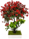 Искусственное растение Merry Bear Home Decor Бонсай / EGB3121005 (красный) - 