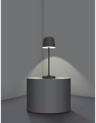 Прикроватная лампа Eglo Mannera 900457