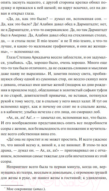 Художественная книга МИФ Анна Каренина / 9785002141722 (Толстой Л.) — фото 6