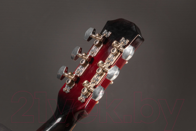 Акустическая гитара ROKSO FT-D38-RDS