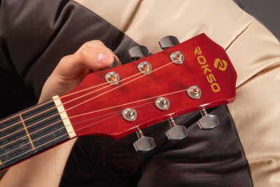 Акустическая гитара ROKSO FT-R38B-N