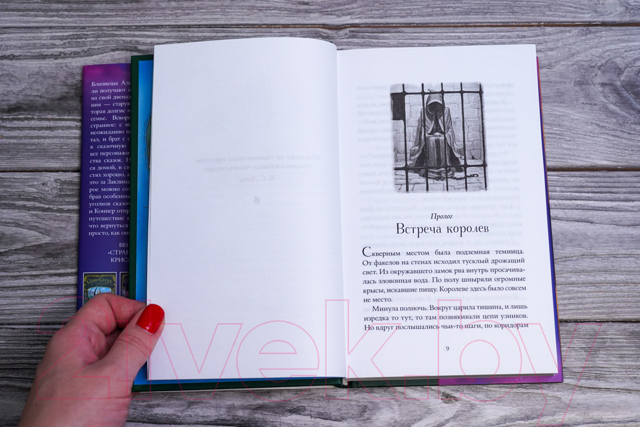 Художественная книга АСТ Страна Сказок. Заклинание желаний / 9785171533366 (Колфер К.) — фото 4