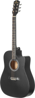 Акустическая гитара ROKSO FT-221-BK - 