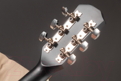 Акустическая гитара ROKSO FT-221-BK