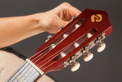Акустическая гитара ROKSO FT-221-N