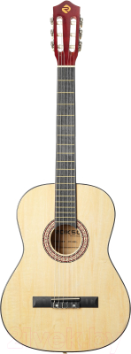 Акустическая гитара ROKSO FT-C-B39-N