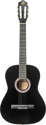 Акустическая гитара ROKSO FT-C-B39-BK