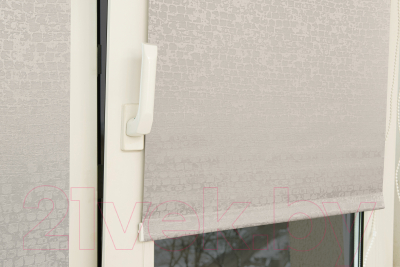 Рулонная штора Delfa Сантайм Альба СРШ-01М 8282 (48x170, серый)