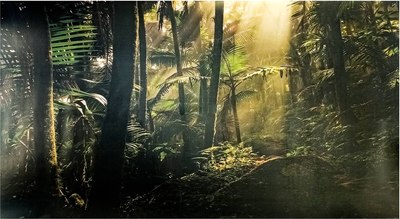 

Декорация для аквариума, Jungle / 8627012/MZ