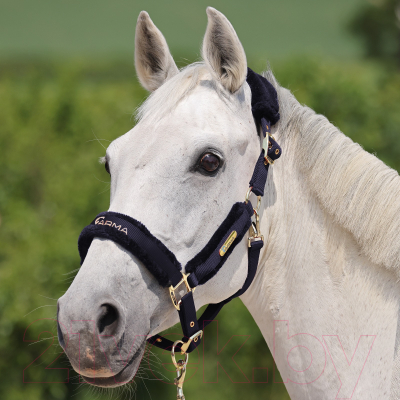 Недоуздок для лошади Arma Devon Pony / 4180/NAVY/PONY (синий, нейлоновый с чомбуром)
