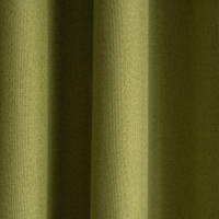 Шторы Pasionaria Мерлин 290x230 (зеленый) - 