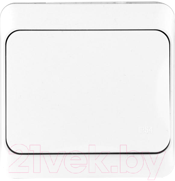 Выключатель Tokov Electric TKE-NX-V1-C01-IP54