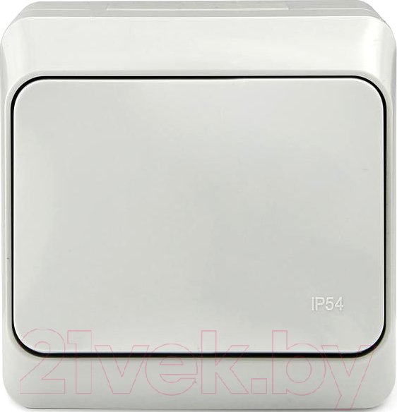 Выключатель Tokov Electric TKE-NX-V1-C06-IP54