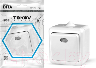 Выключатель Tokov Electric TKL-DT-V1I-C01-IP54
