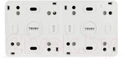 Блок выключатель+розетка Tokov Electric ОП Nix / TKE-NX-V2RZ-C01T-IP54