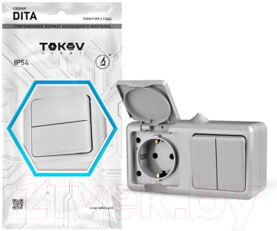 Блок выключатель+розетка Tokov Electric ОП Dita / TKL-DT-V2RZ-C06-IP54