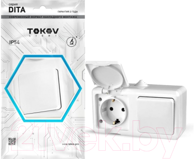 Блок выключатель+розетка Tokov Electric ОП Dita / TKL-DT-V1RZ-C01-IP54
