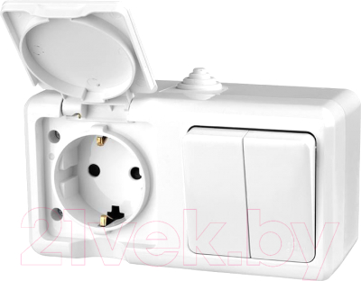 Блок выключатель+розетка Tokov Electric ОП Dita / TKL-DT-V2RZ-C01-IP54