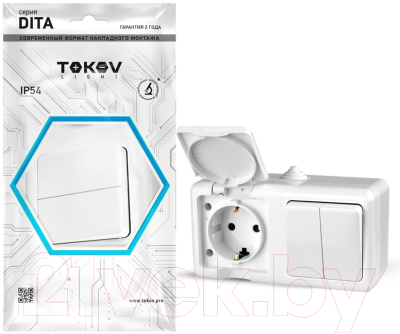 Блок выключатель+розетка Tokov Electric ОП Dita / TKL-DT-V2RZ-C01-IP54