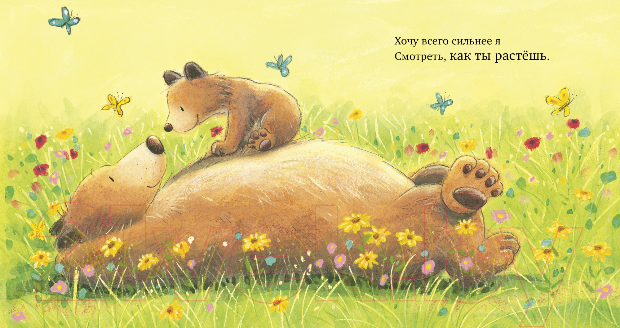 Художественная книга CLEVER Книжки-картинки. Моя любовь к тебе бесконечна / 9785002113606 (Хепворт А.) — фото 4